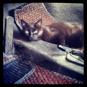 It would be so much easier if he'd be a back seat driver.